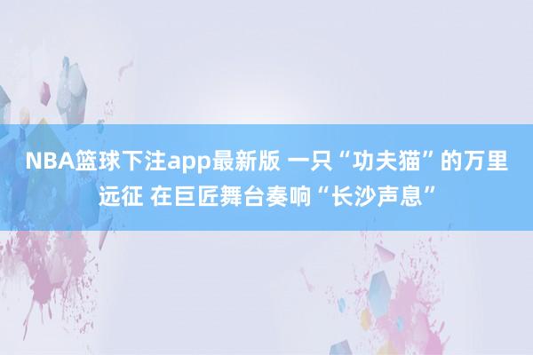 NBA篮球下注app最新版 一只“功夫猫”的万里远征 在巨匠舞台奏响“长沙声息”