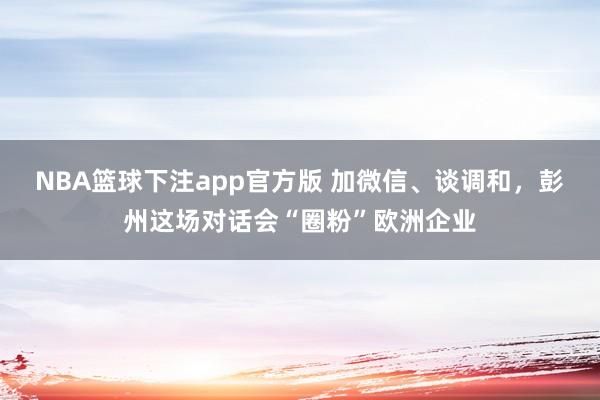NBA篮球下注app官方版 加微信、谈调和，彭州这场对话会“圈粉”欧洲企业