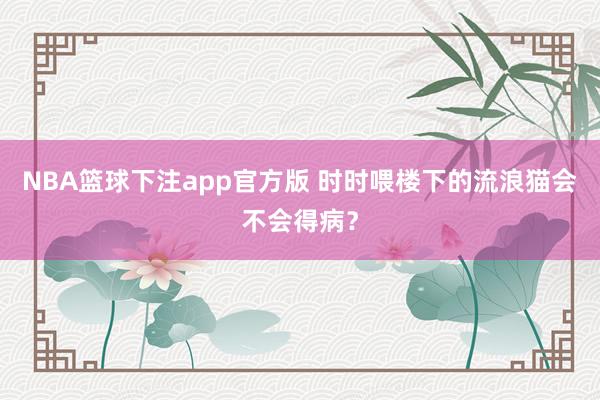 NBA篮球下注app官方版 时时喂楼下的流浪猫会不会得病？