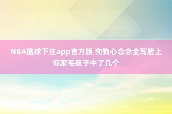 NBA篮球下注app官方版 狗狗心念念全写脸上你家毛孩子中了几个