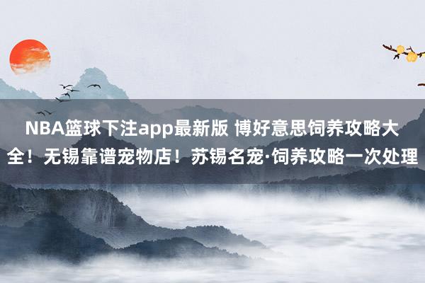 NBA篮球下注app最新版 博好意思饲养攻略大全！无锡靠谱宠物店！苏锡名宠·饲养攻略一次处理