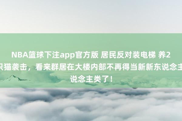 NBA篮球下注app官方版 居民反对装电梯 养200多只猫袭击，看来群居在大楼内部不再得当新新东说念主类了！