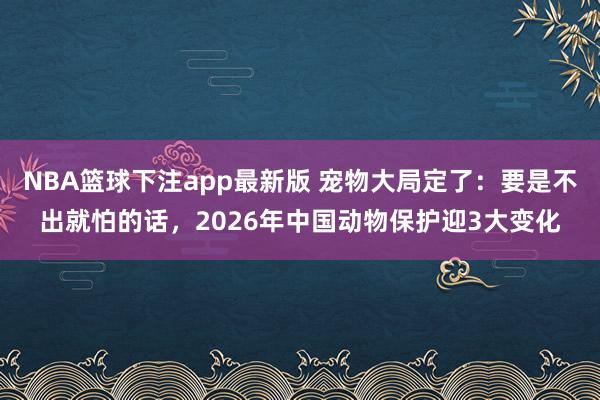 NBA篮球下注app最新版 宠物大局定了：要是不出就怕的话，2026年中国动物保护迎3大变化