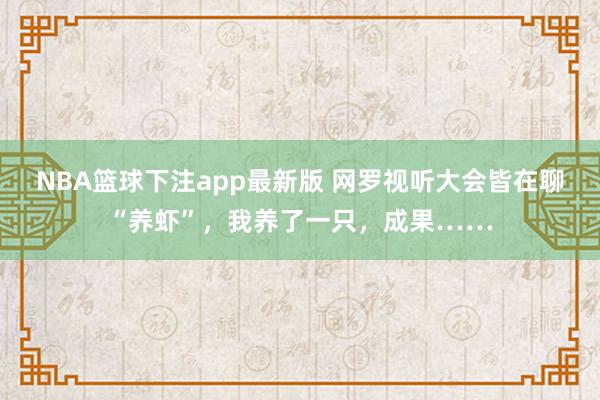NBA篮球下注app最新版 网罗视听大会皆在聊“养虾”，我养了一只，成果……