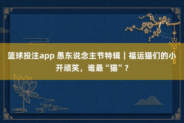 篮球投注app 愚东说念主节特辑｜福运猫们的小开顽笑，谁最“猫”？