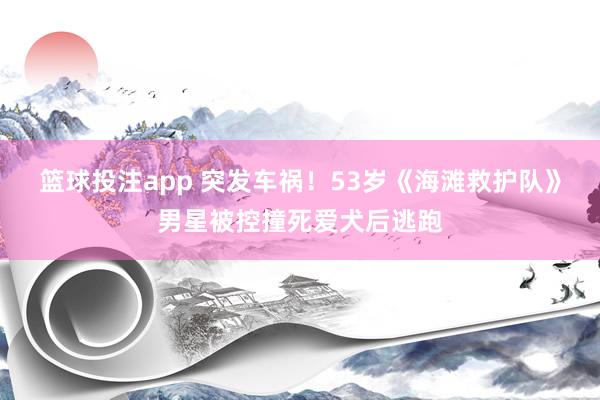 篮球投注app 突发车祸！53岁《海滩救护队》男星被控撞死爱犬后逃跑