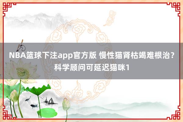 NBA篮球下注app官方版 慢性猫肾枯竭难根治？科学顾问可延迟猫咪1