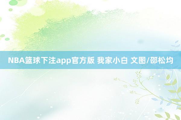 NBA篮球下注app官方版 我家小白 文图/邵松均
