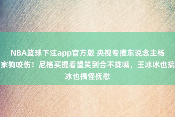 NBA篮球下注app官方版 央视专揽东说念主杨帆被自家狗咬伤！尼格买提看望笑到合不拢嘴，王冰冰也搞怪抚慰