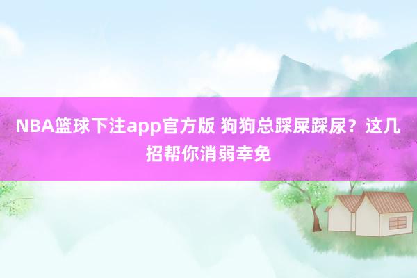 NBA篮球下注app官方版 狗狗总踩屎踩尿？这几招帮你消弱幸免
