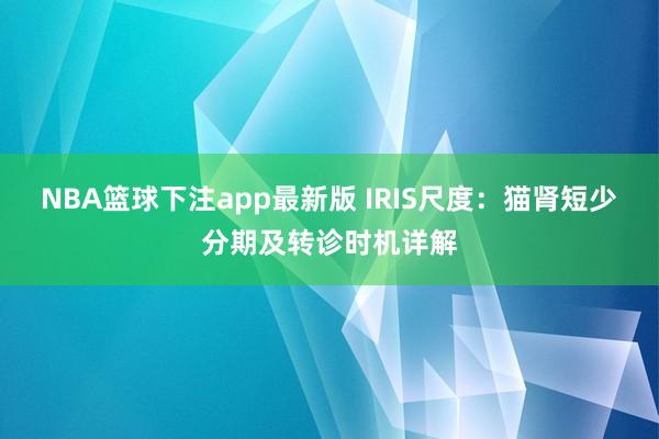 NBA篮球下注app最新版 IRIS尺度：猫肾短少分期及转诊时机详解