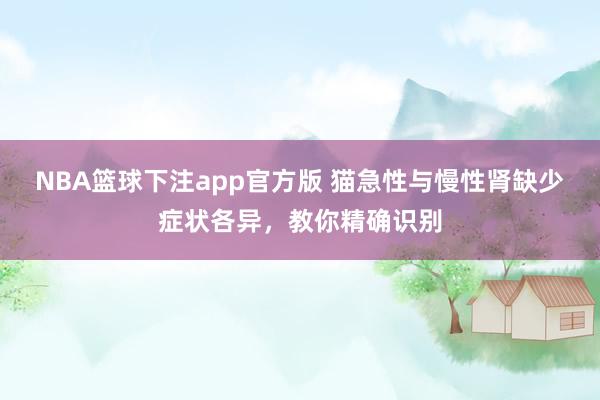 NBA篮球下注app官方版 猫急性与慢性肾缺少症状各异，教你精确识别