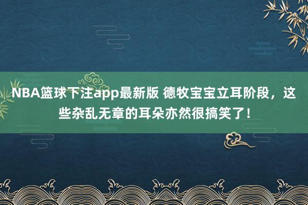 NBA篮球下注app最新版 德牧宝宝立耳阶段，这些杂乱无章的耳朵亦然很搞笑了！