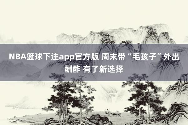 NBA篮球下注app官方版 周末带“毛孩子”外出酬酢 有了新选择