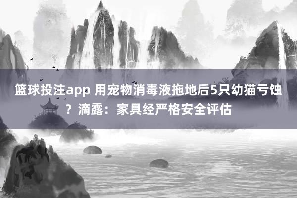 篮球投注app 用宠物消毒液拖地后5只幼猫亏蚀？滴露：家具经严格安全评估