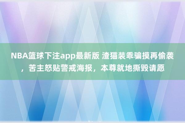 NBA篮球下注app最新版 渣猫装乖骗摸再偷袭，苦主怒贴警戒海报，本尊就地撕毁请愿