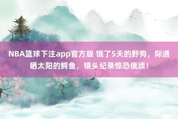 NBA篮球下注app官方版 饿了5天的野狗，际遇晒太阳的鳄鱼，镜头纪录惊恐俄顷！