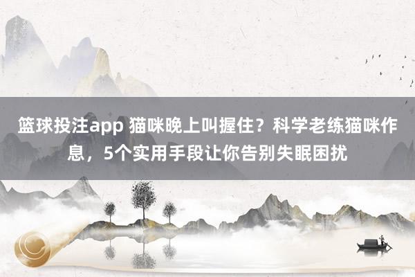 篮球投注app 猫咪晚上叫握住？科学老练猫咪作息，5个实用手段让你告别失眠困扰