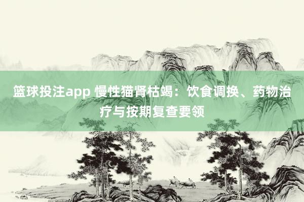 篮球投注app 慢性猫肾枯竭：饮食调换、药物治疗与按期复查要领