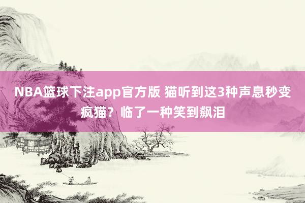 NBA篮球下注app官方版 猫听到这3种声息秒变疯猫？临了一种笑到飙泪