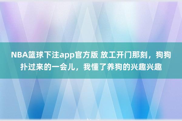 NBA篮球下注app官方版 放工开门那刻，狗狗扑过来的一会儿，我懂了养狗的兴趣兴趣