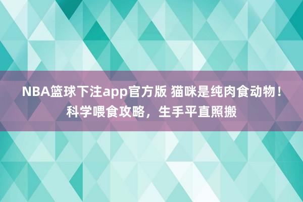 NBA篮球下注app官方版 猫咪是纯肉食动物！科学喂食攻略，生手平直照搬
