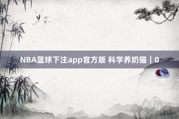 NBA篮球下注app官方版 科学养奶猫｜0