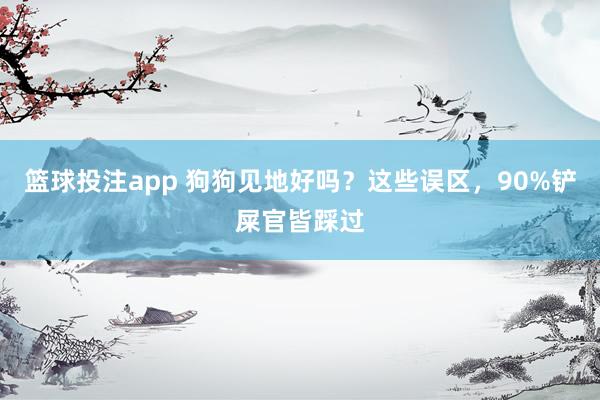 篮球投注app 狗狗见地好吗？这些误区，90%铲屎官皆踩过