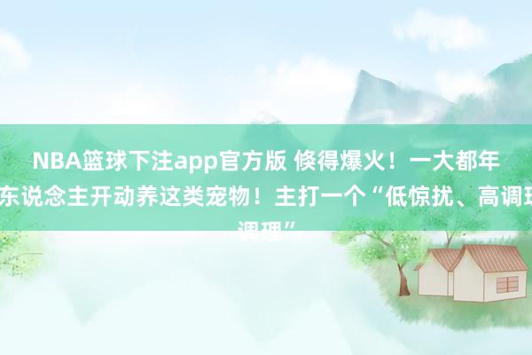 NBA篮球下注app官方版 倏得爆火！一大都年青东说念主开动养这类宠物！主打一个“低惊扰、高调理”