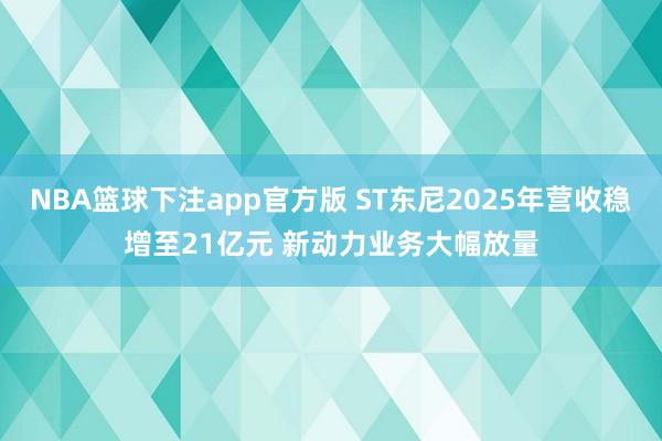NBA篮球下注app官方版 ST东尼2025年营收稳增至21亿元 新动力业务大幅放量