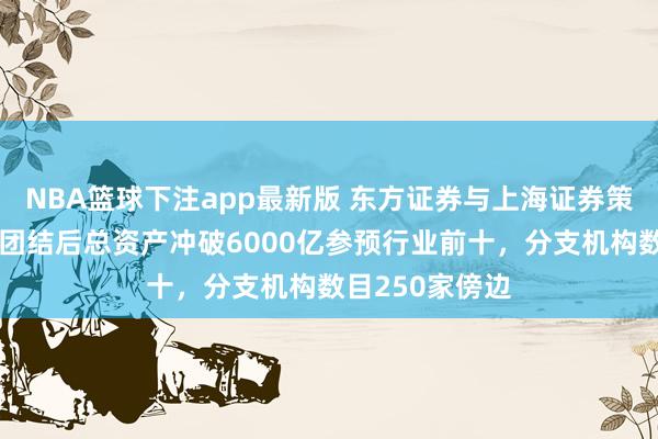 NBA篮球下注app最新版 东方证券与上海证券策划团结重组：团结后总资产冲破6000亿参预行业前十，分支机构数目250家傍边