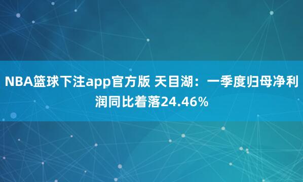 NBA篮球下注app官方版 天目湖：一季度归母净利润同比着落24.46%
