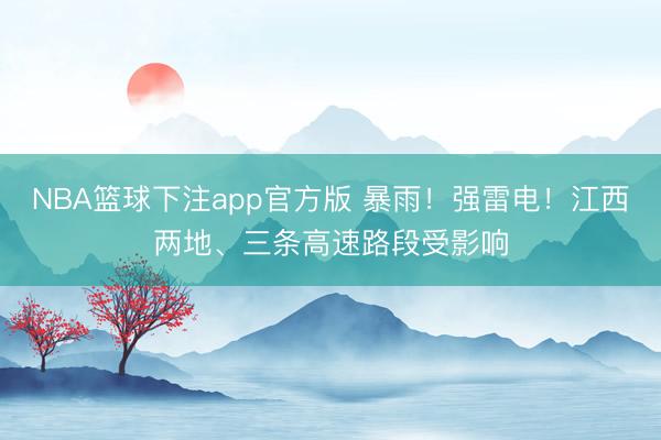 NBA篮球下注app官方版 暴雨！强雷电！江西两地、三条高速路段受影响