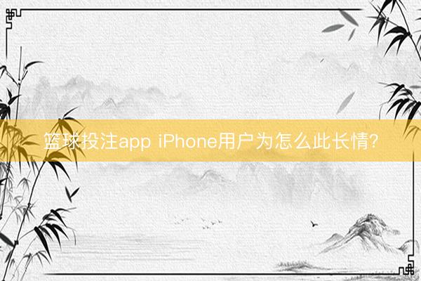 篮球投注app iPhone用户为怎么此长情？